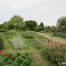 한밭수목원 이미지