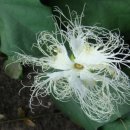 상예동-8 이미지