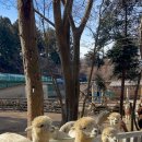 신신목장 이미지