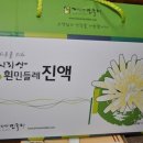 지리산민들레 이미지