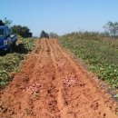 화수농장 이미지