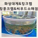 소매점 | 화성대게 저렴하게 구매 가능한 킹콩크랩 씨푸드 소매점 포장후기