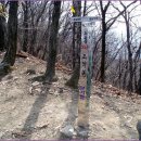 (주)금남고속 | 금남호남정맥 제4구간(활인동치~주즐산), 주즐산에서 금남정맥과 호남정맥을 떠나 보내고