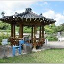 무수천 (평화로 광령1리입구방면) | [2025-09-05] 제주올레 17코스(호끌락 키즈 북 카페 → 김만덕 기념관) 탐방 사진