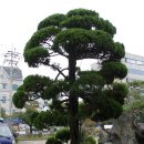 주변 사거리 이미지