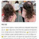 리안헤어(오류점) 이미지