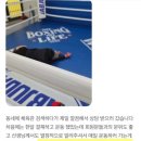 잽주다복싱클럽월곶점