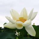 까르마 (karma) 제1부 까르마의 이해 이미지