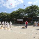 송추초등학교 티스토리