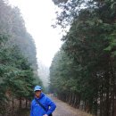 편백숲관광안내소 이미지