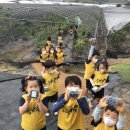 신솔정유치원 이미지