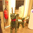 아이디어안경원 구제주점 이미지