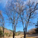 강릉에서 고성까지 이미지