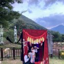 신도리-8 이미지