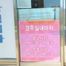 경주실내마차