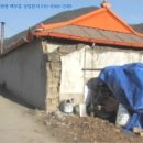 유다리길 이미지