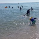 씨젠콘도텔 이미지