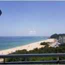 해운대 숙소 비교 : 소노문 vs 팔라티움(feat.소노러스회원권vs노블리안블랙회원권)