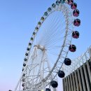 아이푸른 이미지