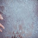 이리스(IRIS) 이미지