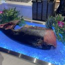중앙보조기 | 인천 송도 돌잔치 스몰웨딩 파티홀 추천 프리미엄 뷔페 맛집 더비앙송도 솔직후기