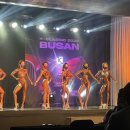 클래식짐 이미지