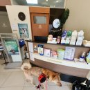 프라하동물병원 이미지