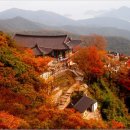 남해의 사계 이미지