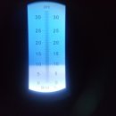 대저식품