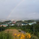 향수사계절낚시터 이미지