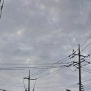 봉남면사무소 이미지