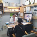 일산서울보청기 | 전주 보청기 서울보청기