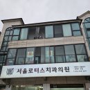 에버그린치과의원 | 수지구청꽃집/에버그린꽃집 프리저브드 플라워볼 가성비꽃집