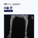 운정24시동물의료센터 이미지