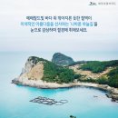 나홀로 산우회 2026년4월 18일 토요일 - 당일 기획 섬(추자도)산행.(쾌속선 운행) 이미지