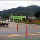 함창중앙초등학교 이미지