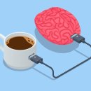 카페인헬스장 이미지