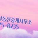 삼성부동산중개사무소 이미지