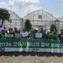 새마을지도자괴산군협의회·부녀회, 꽃모종 심기 봉사 이미지