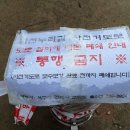 흑석세월교 이미지