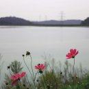 갈치저수지 이미지