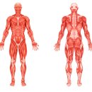 장한평역 이미지