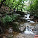 우이동주막족발집
