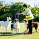 토탈축산 이미지