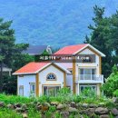 이디살래 이미지