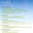 핑코애견 이미지