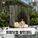 하이씨닷컴 | 트립닷컴 할인코드 6월 7월 항공 호텔 50% 할인 특가 총정리