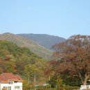 이박목장 이미지