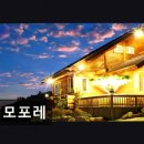 석모포레