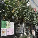 페이버 애견샵 | [대전 은행동] 분위기 좋은 은행동 대형카페 &#34;로크하우스&#34; 내돈내산 후기